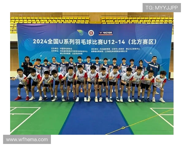 武汉羽毛球队在羽毛球战术排行榜中荣获第六名的辉煌成就分析